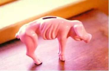 piggy bank