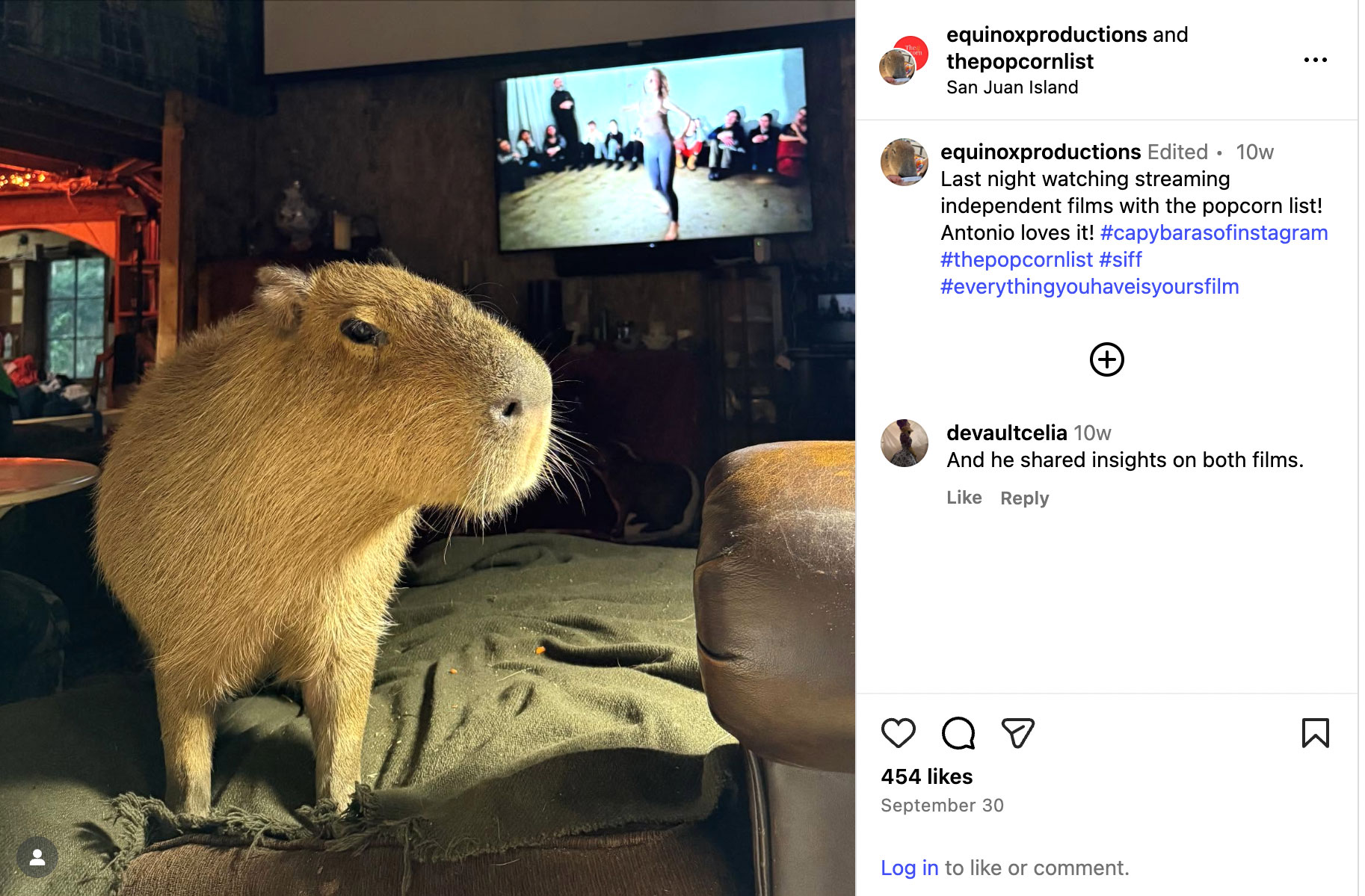 social_media_schedule