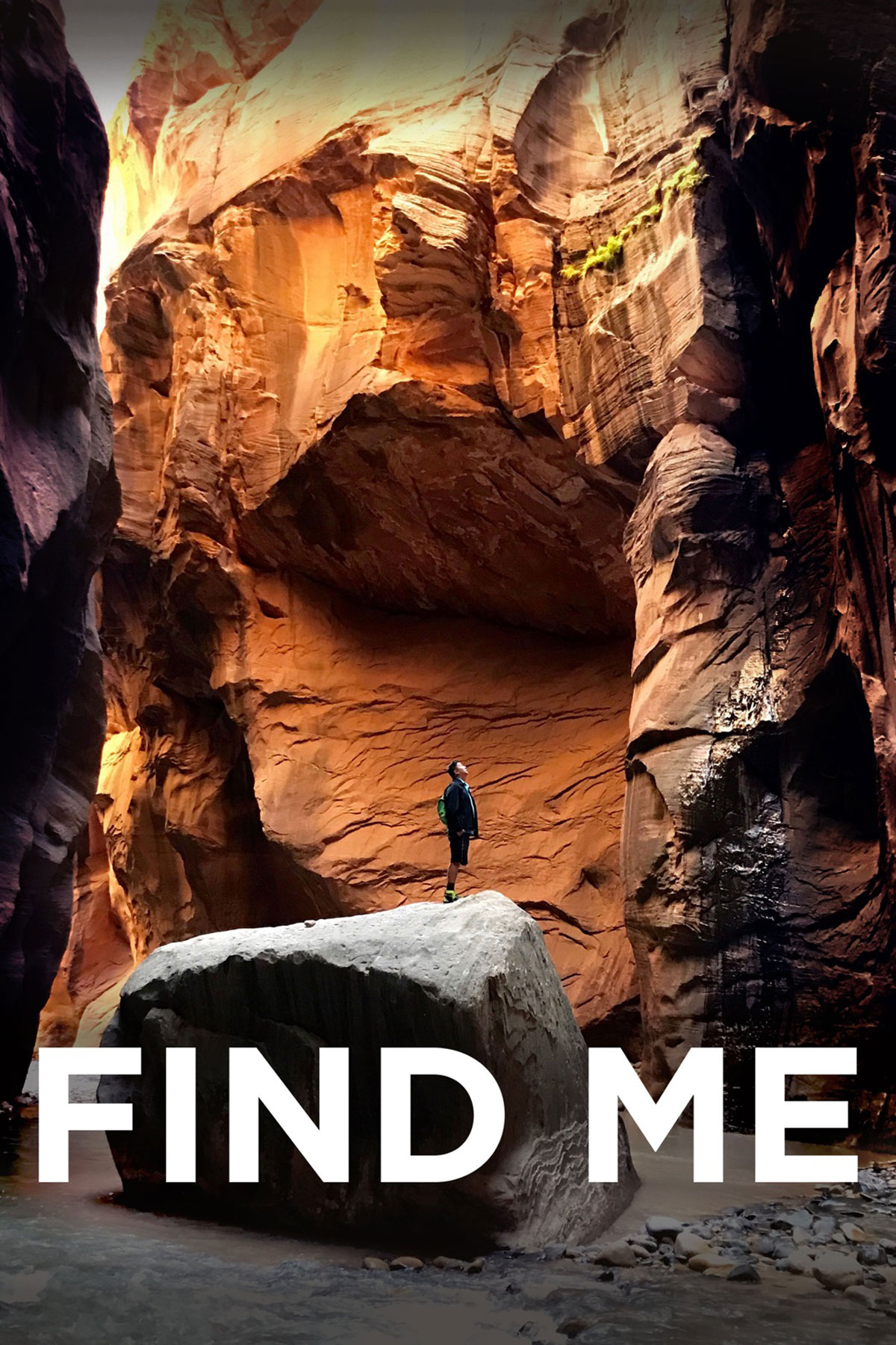 find_me_poster