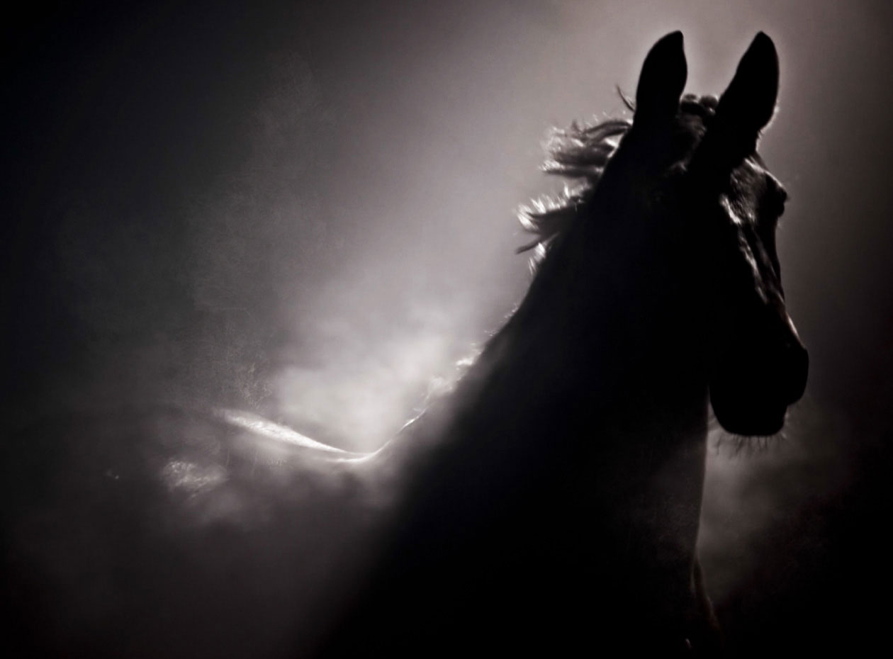 soulhorse